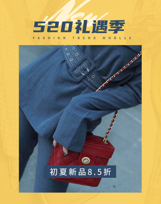 520礼遇季/女包海报预览效果