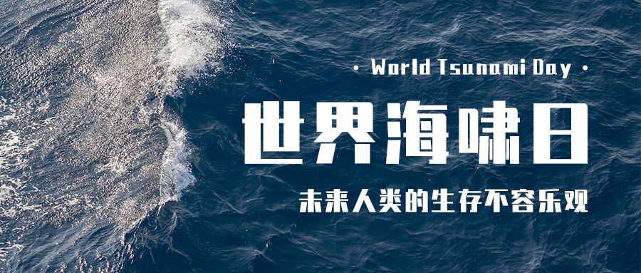 世界海啸日自然灾害知识科普实景公众号首图预览效果