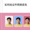 授权书经营证件模板