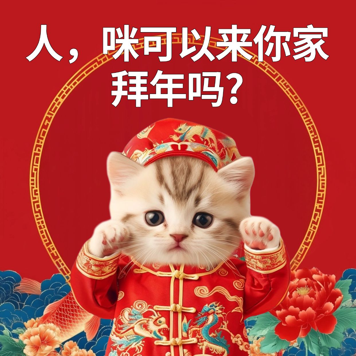 猫咪春节过年趣味梗图静态表情包aigc