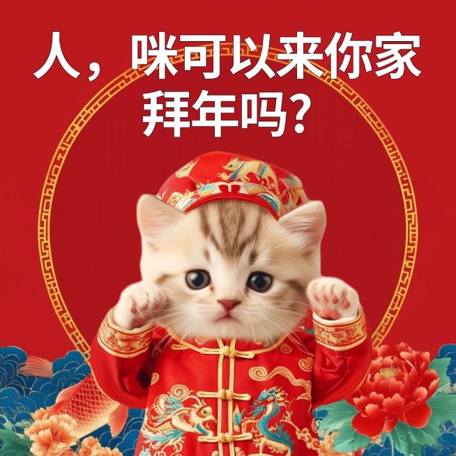 猫咪春节过年趣味梗图静态表情包aigc预览效果