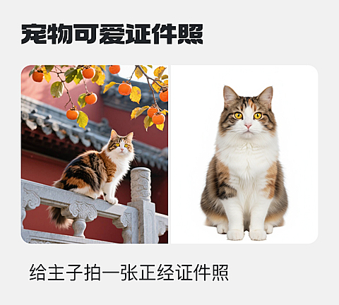 宠物可爱证件照