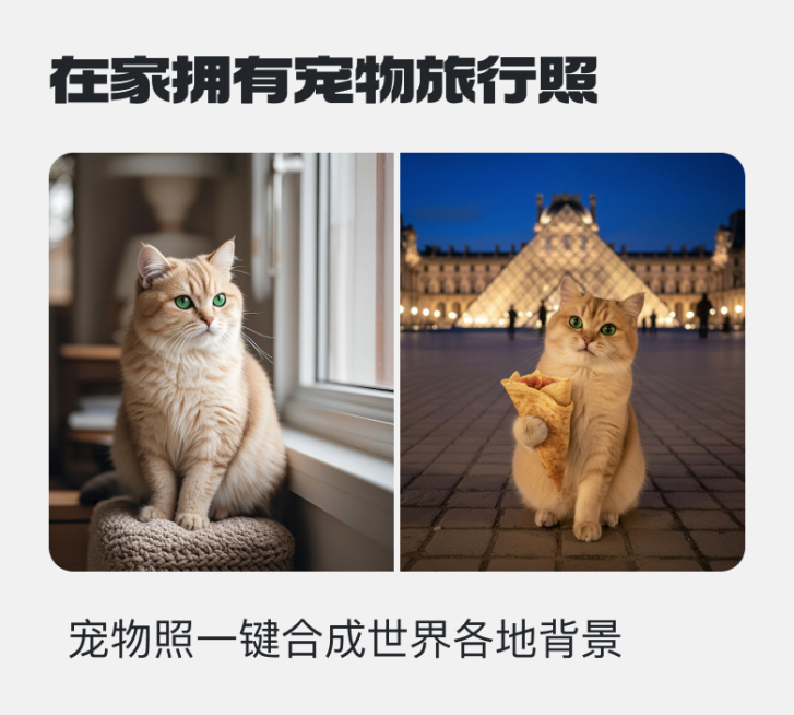 带着宠物去各地旅行预览效果