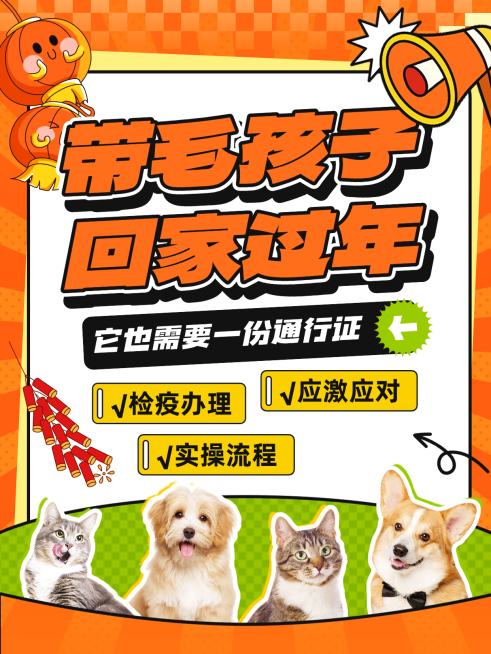 春节攻略指南通用实景感小红书封面预览效果