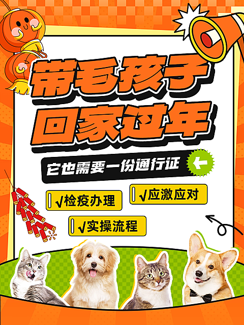 春节攻略指南通用实景感小红书封面