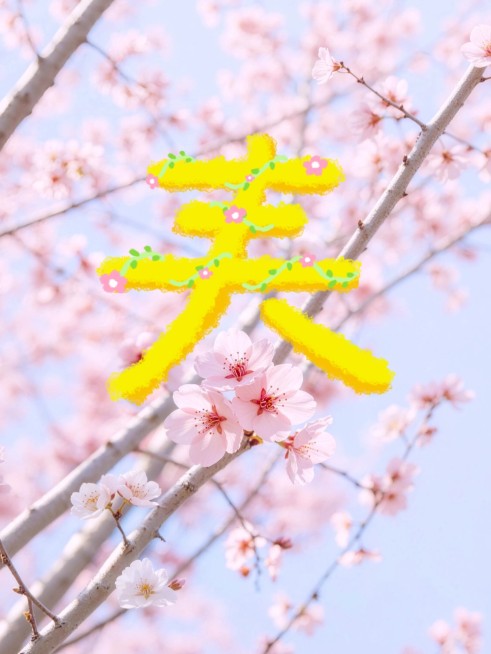 摄影花鸟字春天花摄影摄像plog预览效果