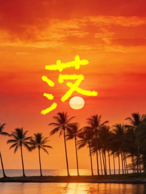 摄影花鸟字落日plog预览效果