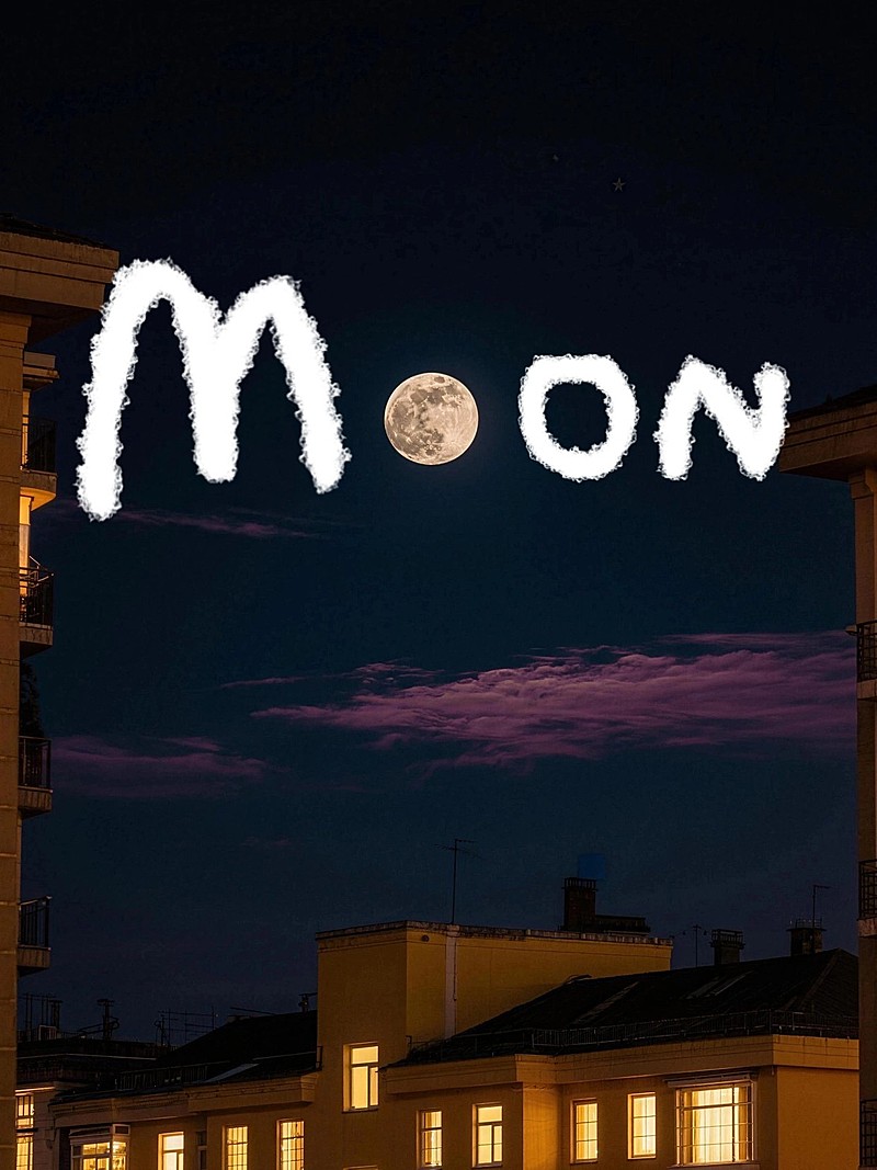 摄影花鸟字夜间月亮明月plog