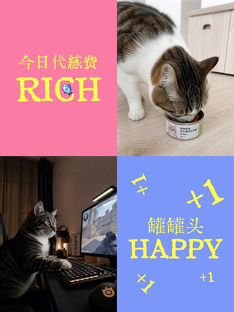 colorwalk多巴胺撞色跨屏四宫格拼图plog