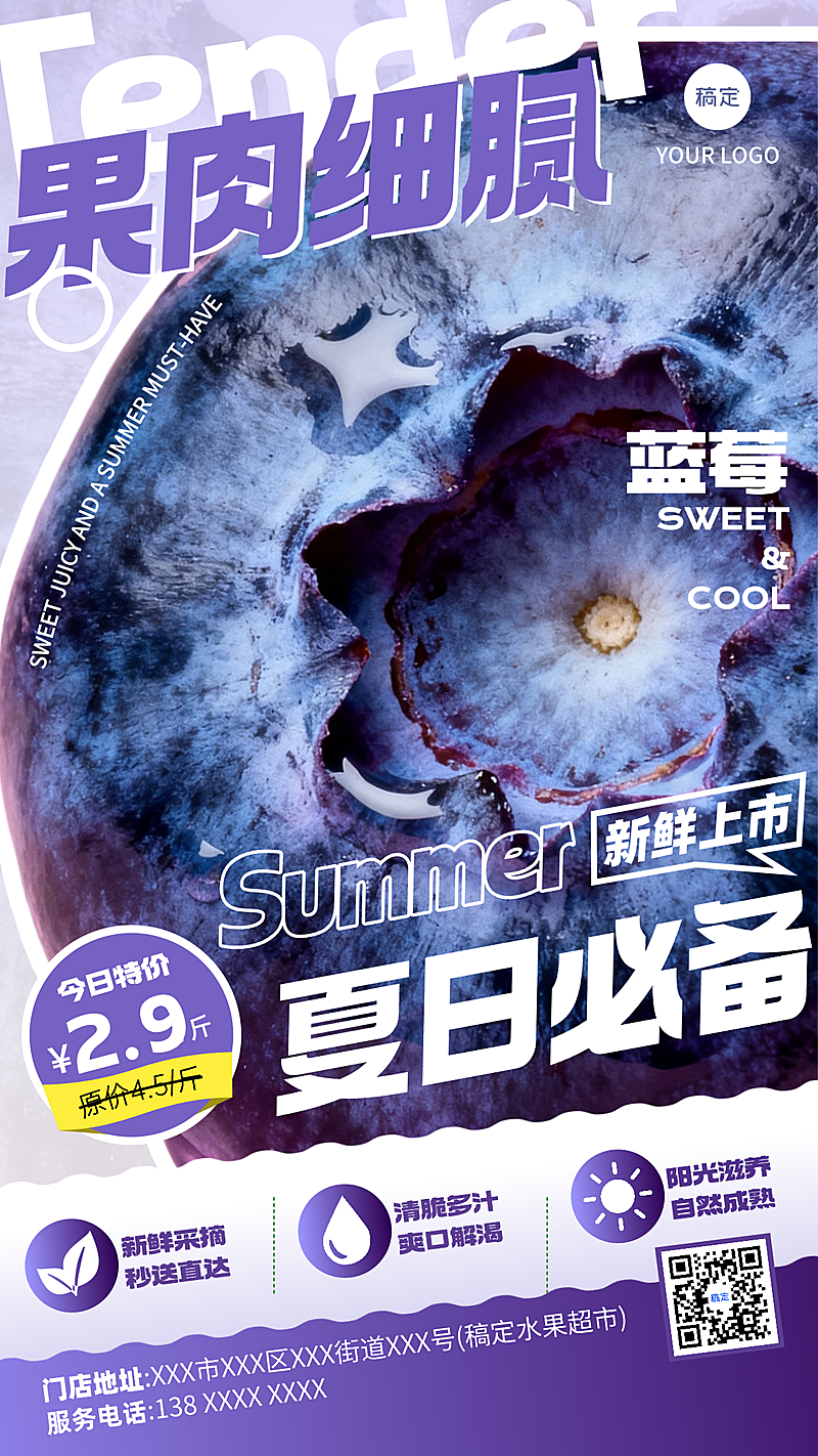 水果蓝莓夏日促销宣传现代风竖版海报