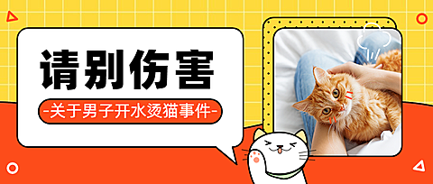 宠物关爱动物禁止虐待公众号首图