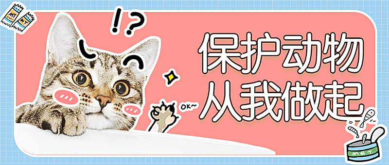 宠物关爱动物禁止虐待公众号首图