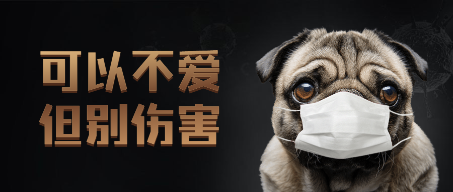 宠物关爱动物禁止虐待公众号首图