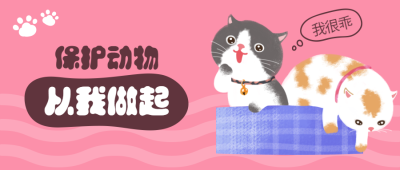 宠物关爱动物禁止虐待公众号首图