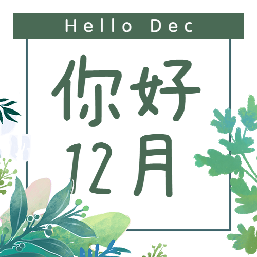 通用12月你好清新公众号次图预览效果