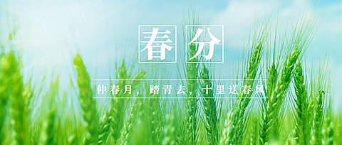 春分节气问候祝福春天公众号首图