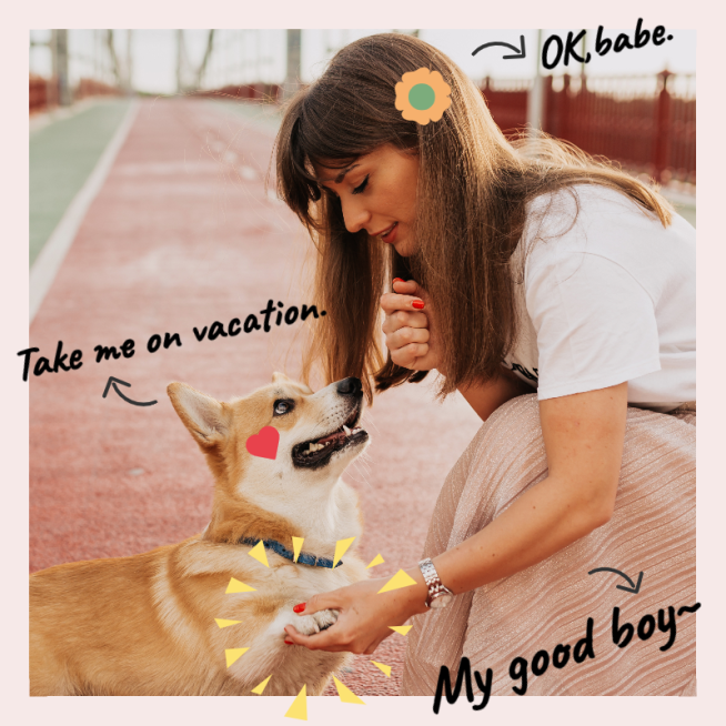 Cute Pet Mark Template预览效果