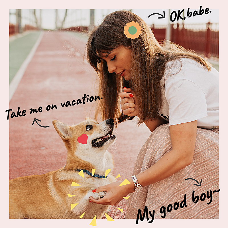 Cute Pet Mark Template