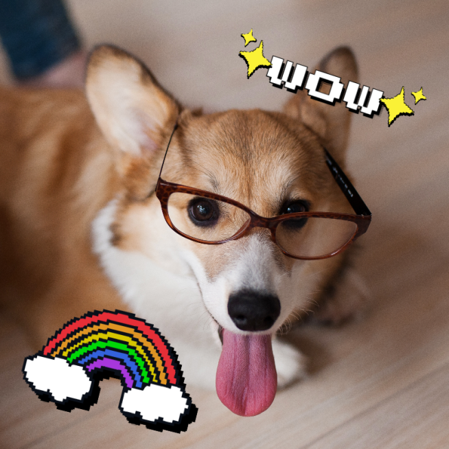 Cute Pet Mark Template预览效果