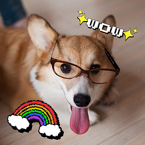 Cute Pet Mark Template