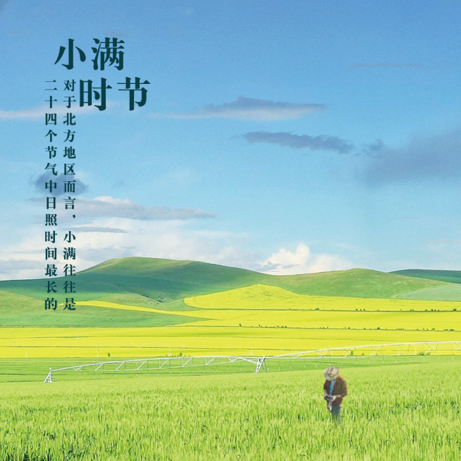 小满节气祝福问候夏季实景方形海报预览效果