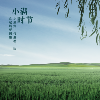 小满节气祝福问候夏季实景方形海报