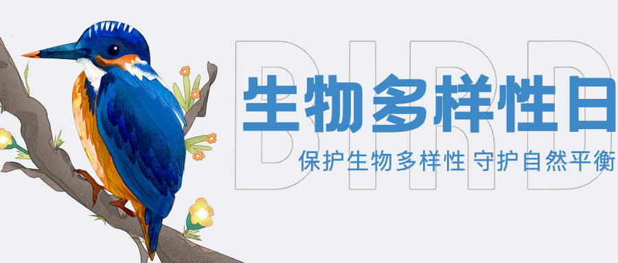 生物多样性保护动物公益公众号首图
