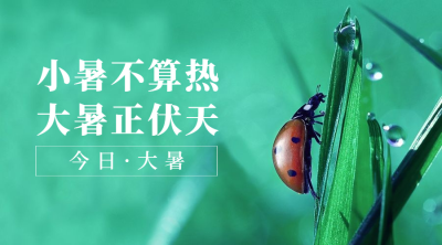 大暑节气祝福实景清新横版海报