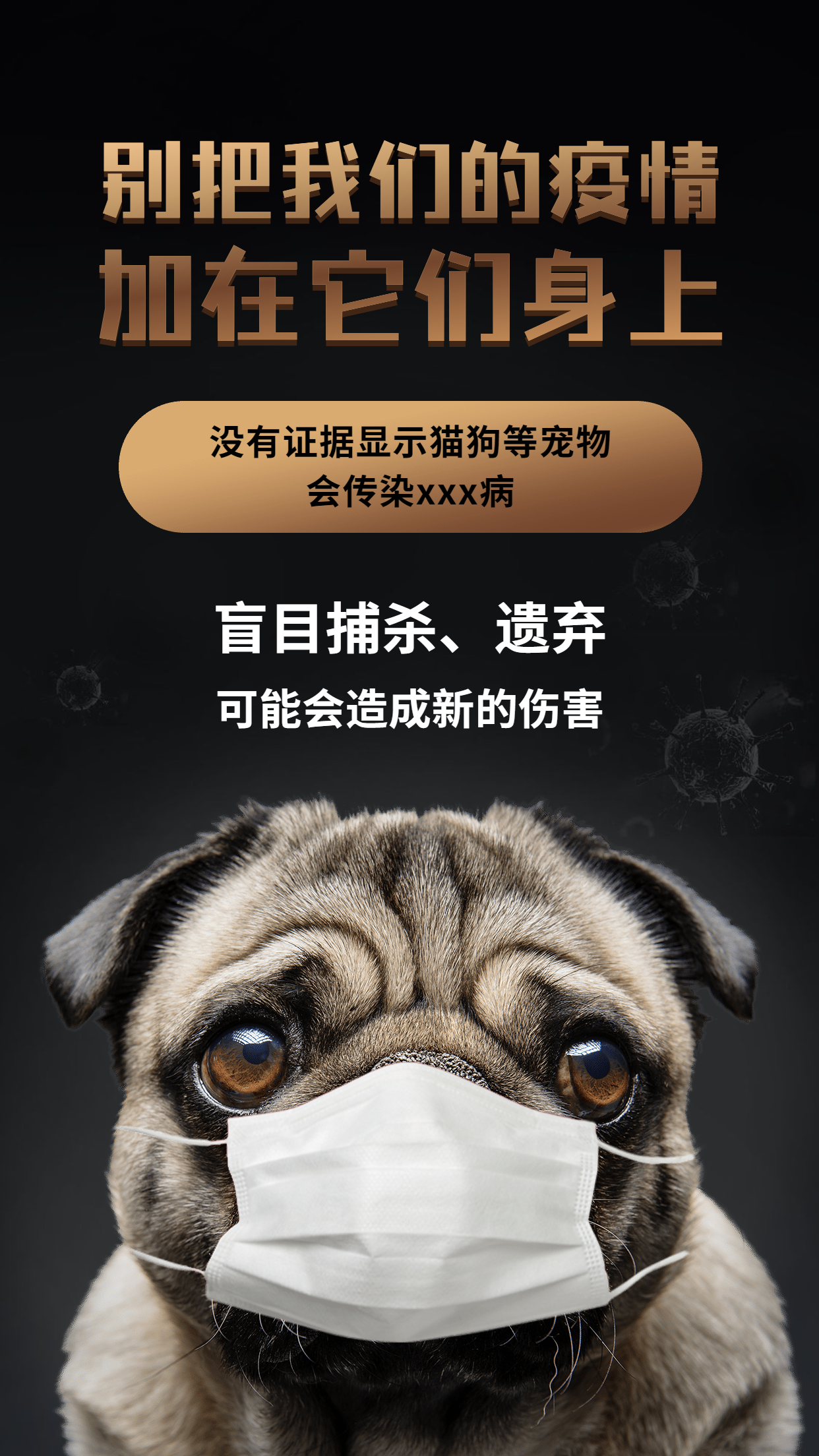 公益宣传辟谣保护动物宣传手机海报