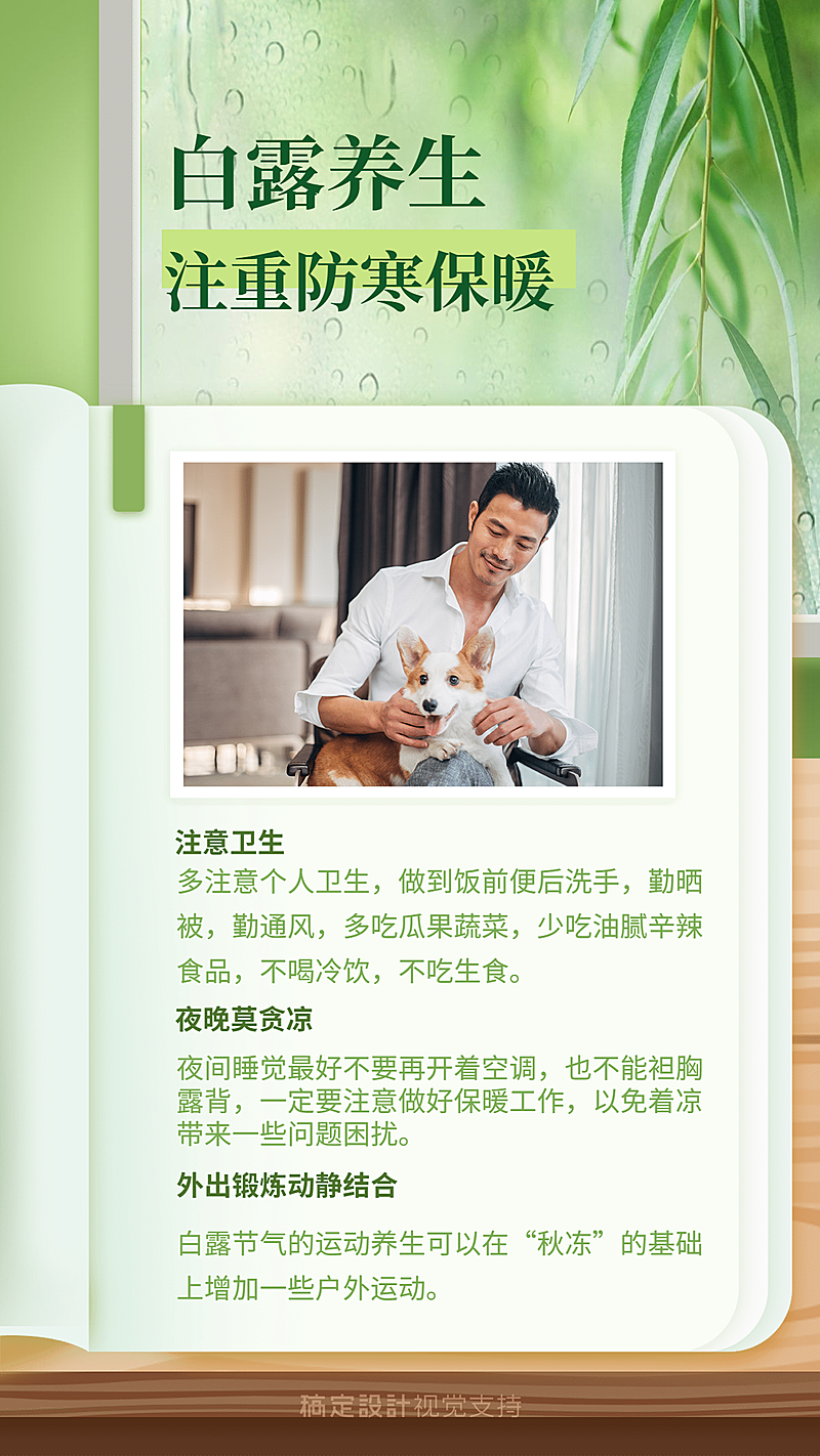 白露节气时令百科养生常识宣传海报