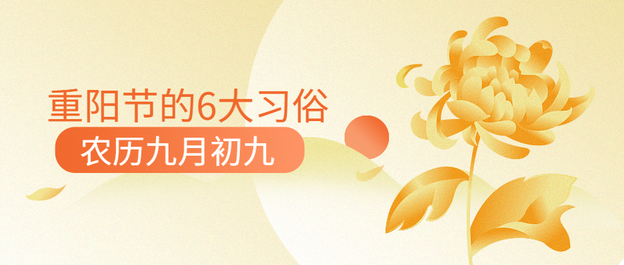 九月九重阳节习俗科普手绘菊花公众号首图