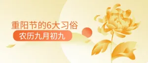 九月九重阳节习俗科普手绘菊花公众号首图