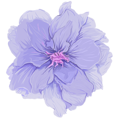 花主题插画-花卉