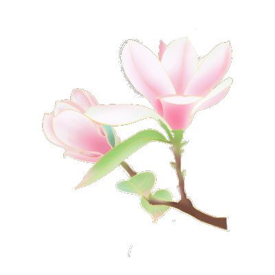 金边中国风植物插画-桃花