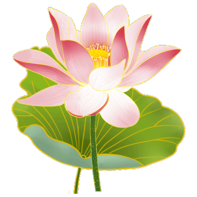 金边中国风植物插画-荷花