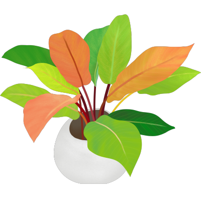 植物插画-蔓绿绒奥兰治国王