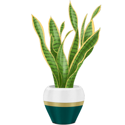手绘植物盆摘主题插画
