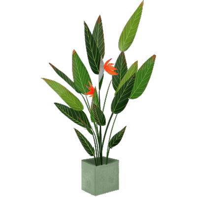 清新风植物盆栽主题插画