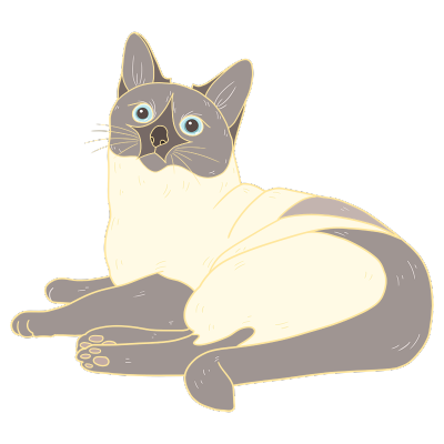 可爱萌宠风宠物插画-猫
