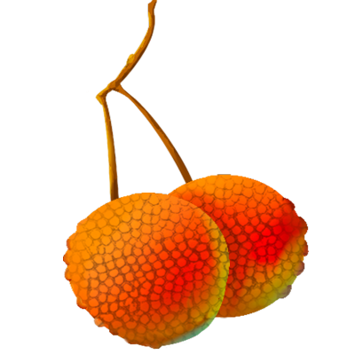 手绘水果插画素材-荔枝