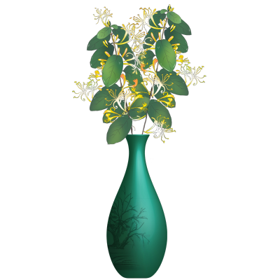 家家居生活植物主题插画-金银花