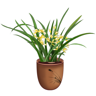 家家居生活植物主题插画-兰花