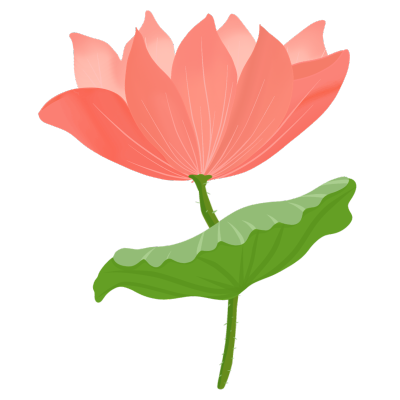 中秋节中国风插画-荷花