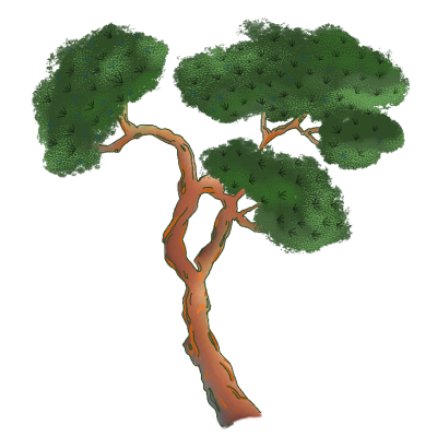 国风花卉系列插画-松树