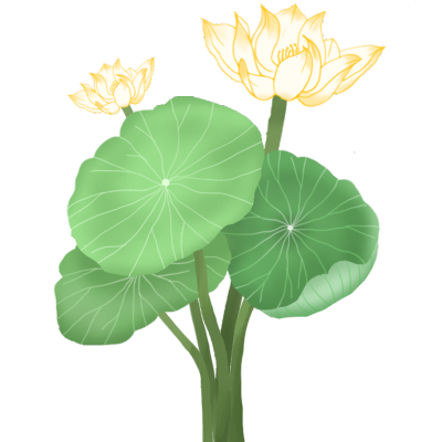 手绘植物系列-荷花
