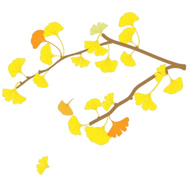扁平秋天枝头树叶氛围矢量-银杏叶