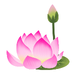 荷花动态贴纸
