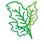 青菜动态贴纸