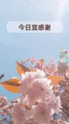 营销日历海报日程
