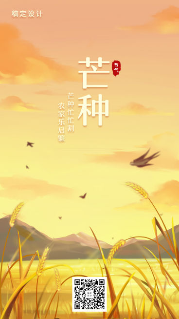 芒种/节气插画/手机海报预览效果